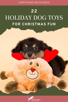 Holiday Dog Toys for Christmas Fun, christmas dog, dog toys Christmas Dog Toy, Puppy Toys, Best Dog Toys, Toy Puppies, Christmas Toys, Christmas Dog, Dog Toys, Christmas Fun, Best Dogs