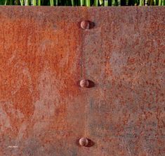 an old rusted metal surface with grass growing out of it