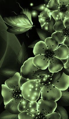 an image of some flowers in the dark