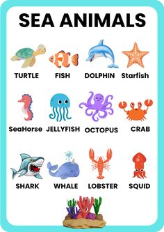 an ocean animals poster with the words sea animals