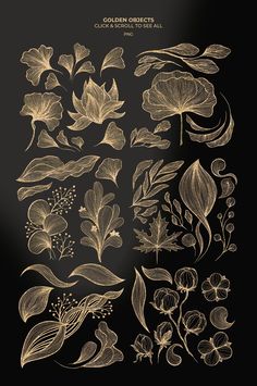 the golden flowers and leaves are drawn in pencil on black paper, with gold foil