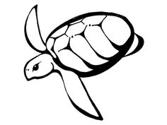 a black and white drawing of a turtle