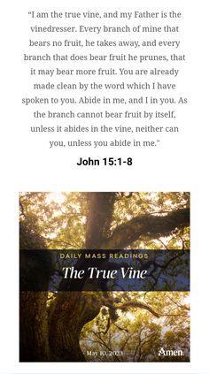 THE TRUE VINE_  JOHN 15:1-8 | 10 May 2023 | AMEN
“I am the true vine, and my Father is the vinedresser. Every branch of mine that bears no fruit, he takes away, and every branch that does bear fruit he prunes, that it may bear more fruit. You are already made clean by the word which I have spoken to you. Abide in me, and I in you. As the branch cannot bear fruit by itself, unless it abides in the vine, neither can you, unless you abide in me." I Am The True Vine, Abide In Me, I Have Spoken, I John, May 2023, My Father, Vines