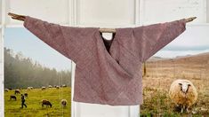 a sweater hanging on a clothes line with sheep in the background and a photo of a man standing next to it