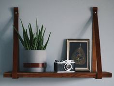 a potted plant sitting on top of a wooden shelf next to a framed photograph