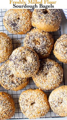 whole wheat sourdough bagels with everything bagel seasoning on a wire rack While Wheat Sourdough, Freshly Milled Sourdough, Sourdough Bread With Fresh Milled Flour, Fresh Milled Flour Sourdough Recipes, Fresh Milled Sourdough Bread, Homesteading Cooking, Sourdough Bagels Recipe, Mill Flour, Fresh Milled Flour