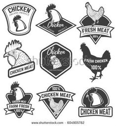 chicken emblems and badges set