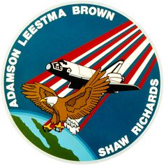 an emblem for the brown squadron flying over the earth with a plane on it's back