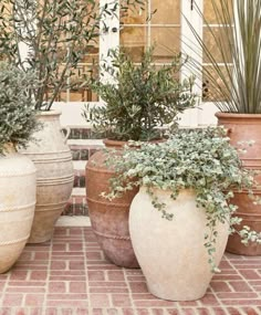 three large vases with plants in them on a brick patio