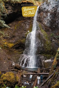 Jenni and Dylan's Olympic National Park elopement was filled with some of the PNW's best landscapes! The couple enjoyed a moody spring elopement day at multiple locations AND got to experience some incredible Washington weather! Visit the blog to see more from this Olympic Peninsula elopement & learn some things to consider when planning an elopement in the spring. Planning An Elopement, Spring Elopement, National Park Elopement, Park Elopement, Olympic Peninsula, Beach Elopement, Olympic National Park