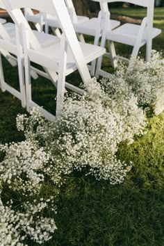 white chairs are lined up in the grass with baby's breath flowers on them