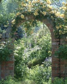 an arch in the middle of a garden with yellow flowers growing on it's sides