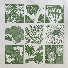 six different types of flowers are shown in green and white