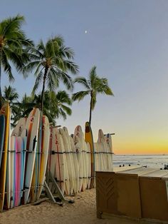 many surfboards are lined up on the beach