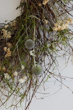 dried flowers and twigs hang from a wall