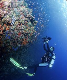 a person scubas in the ocean near a coral reef