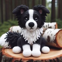 a small black and white dog sitting on top of a tree stump