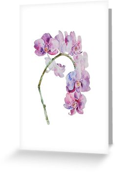 a watercolor painting of purple flowers on a white background