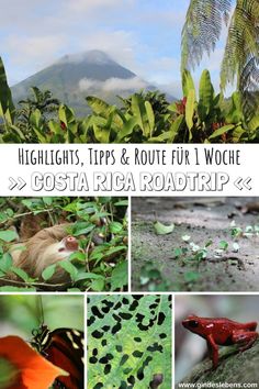 the costa rica road trip highlights tips and route 1 woche