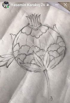 a drawing of a flower on paper