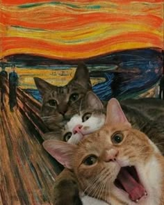 two cats sitting on top of each other in front of an image of the scream