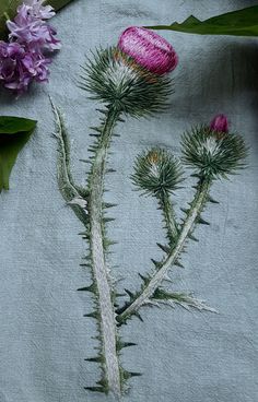 a close up of a flower on a cloth