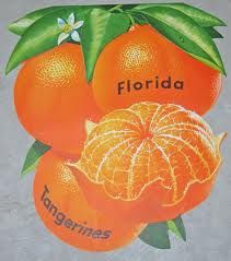 a painting of oranges with the words florida and tangerines written on them