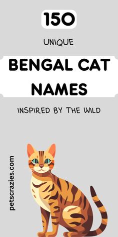 an animal book cover with a cat on it's back and the words bengal cat names