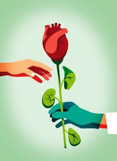 two hands reaching for a flower that is being held by another hand