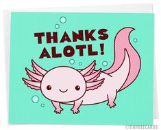 a card with an image of a pink axolot on it's back