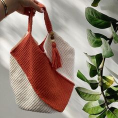 a hand holding an orange and white purse next to a plant with green leaves on it