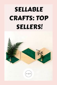 three wooden hexagonals with plants in them and the words sellable crafts top sellers