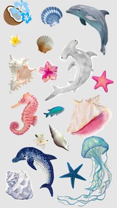 an assortment of sea animals and seashells on a white background