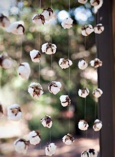 cotton flowers hanging from the side of a window