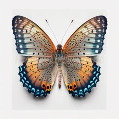 an orange and blue butterfly sitting on top of a white surface with its wings open