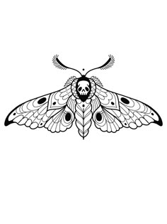 a black and white drawing of a moth