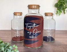 three glass jars with writing on them sitting on a wooden table next to a succulent plant