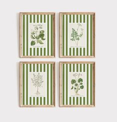 four green and white framed pictures with plants on the bottom, one in striped paper