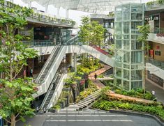 an indoor shopping mall filled with lots of plants and people walking down the escalator