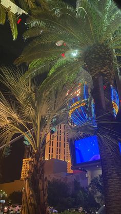 palm trees in front of the las vegas hotel and casino at night with lights on