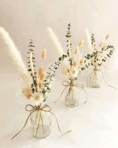 three clear vases with dried flowers and greenery tied to each other on a white background