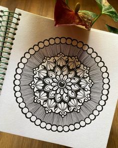 a spiral notebook with an intricate design on the front and back cover, sitting next to a potted plant