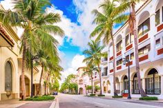 palm trees line the street in front of white buildings