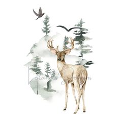 a deer standing in front of a forest filled with trees and birds flying above it