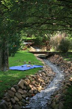 a stream running through a lush green park