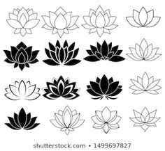 black and white lotus flower silhouettes