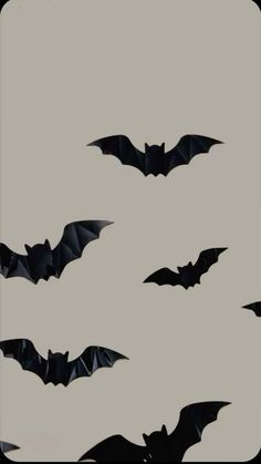 several bats flying in the sky together