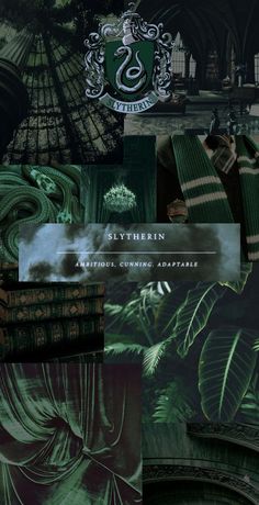 the cover to slythern's book series is shown in green and black