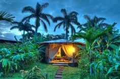 a small tent in the middle of some trees and bushes with a light shining on it