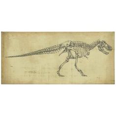 a drawing of a dinosaur skeleton on parchment paper